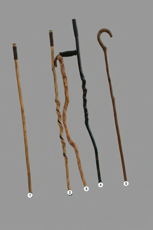 Hand-carved Walking Sticks