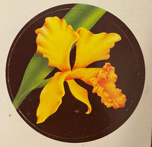 80s Sticker Yellow Orchid Sticker