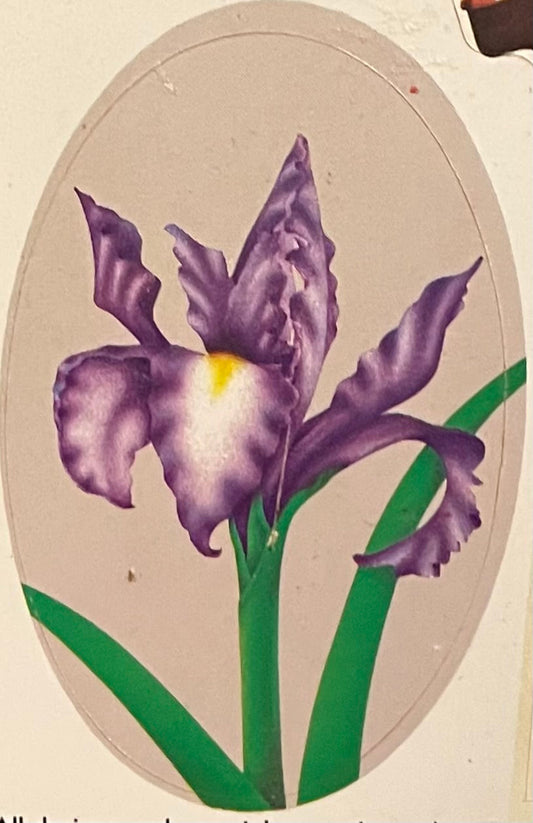 Purple Iris Sticker